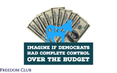 Imagine if Democrats had Complete Control Over the Minnesota Budget